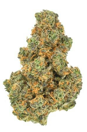 Pink Diesel '71 | Big Buds | 3.5g
