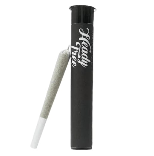 Lemon Cherry Sherbet | Joint | 1g
