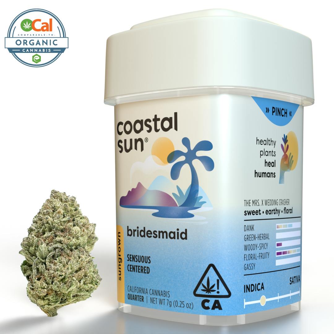 Coastal Sun: Bridesmaid Sungrown Flower 7g