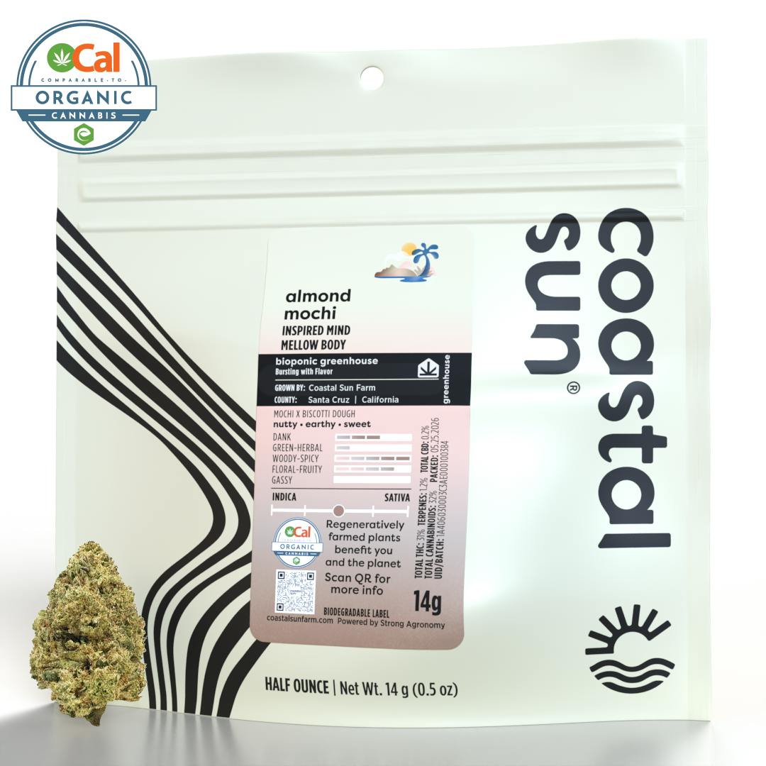 Coastal Sun: Yesca