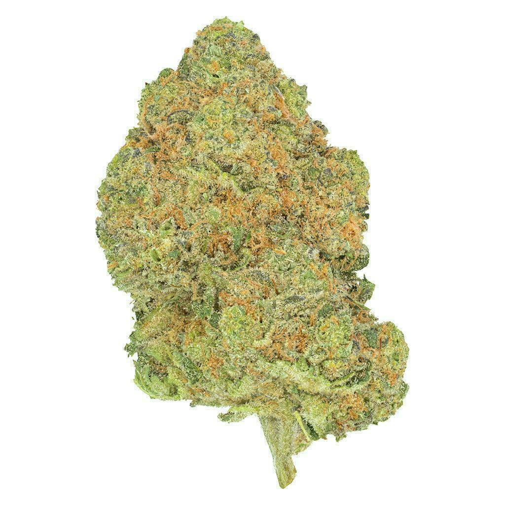 Black Jelly | Big Buds | 7g