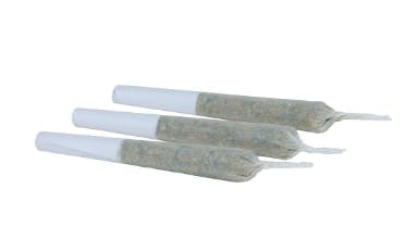Pink Diesel '71 | Mini Joints | 0.5g | 3pk