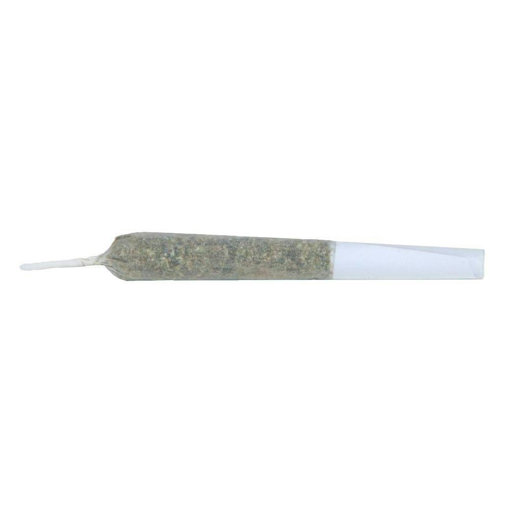 Driftwood Diesel | Infused Minis | 0.35g | 3pk