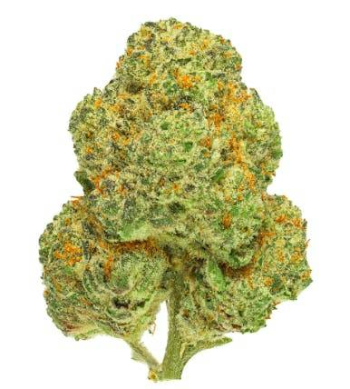 Chemango Kush | Big Buds | 7g
