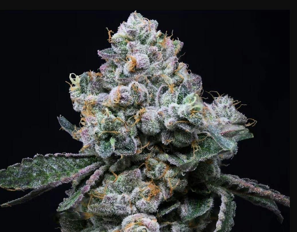 Rose Gold Runtz | Smalls | 7g by Rythm