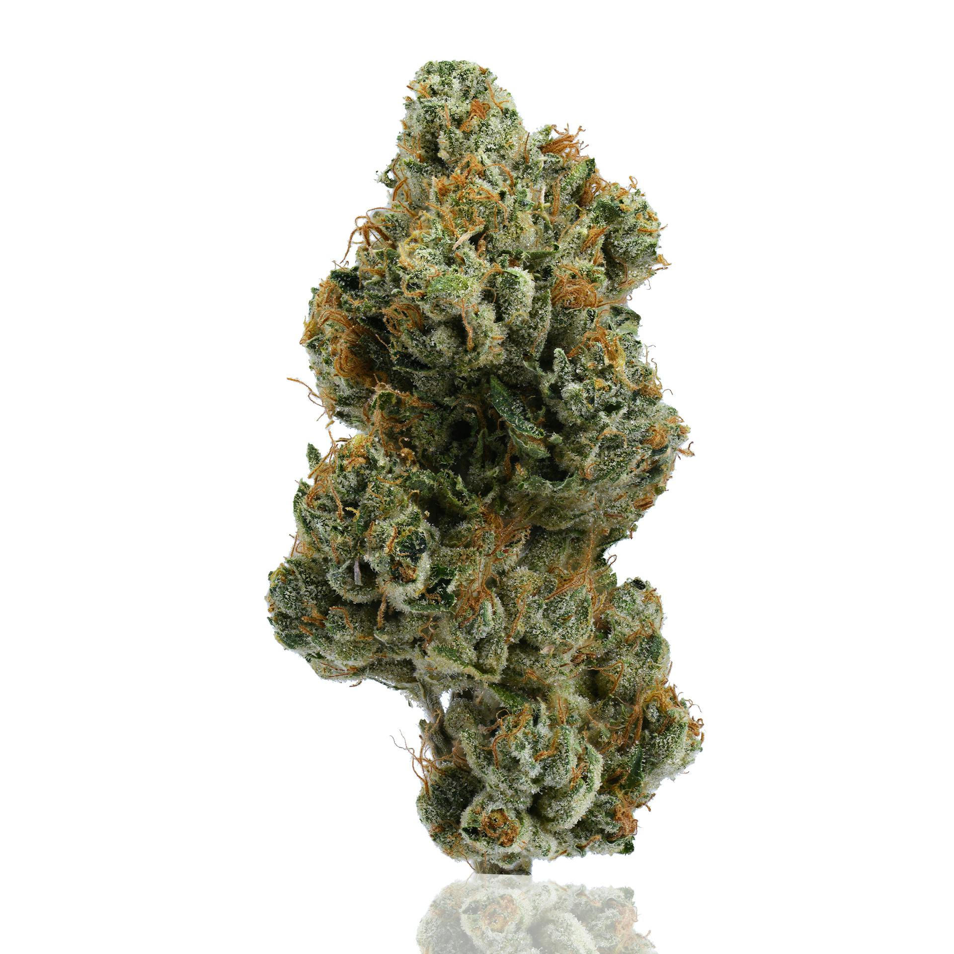 CAM: Platinum Kush