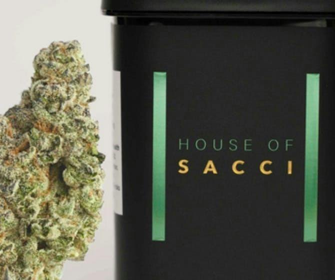 Sunny Z | Buds | 0.7g by House of Sacci