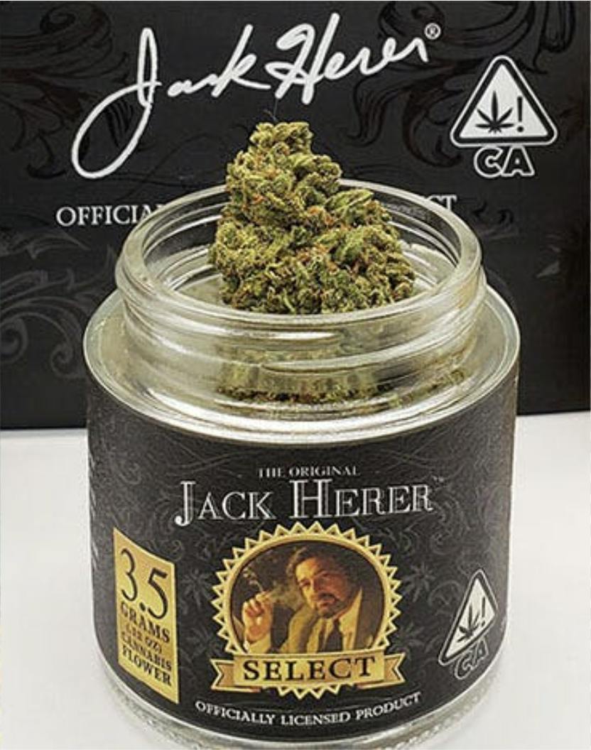 Jack Herer Reserve | Big Buds Jar | 3.5g