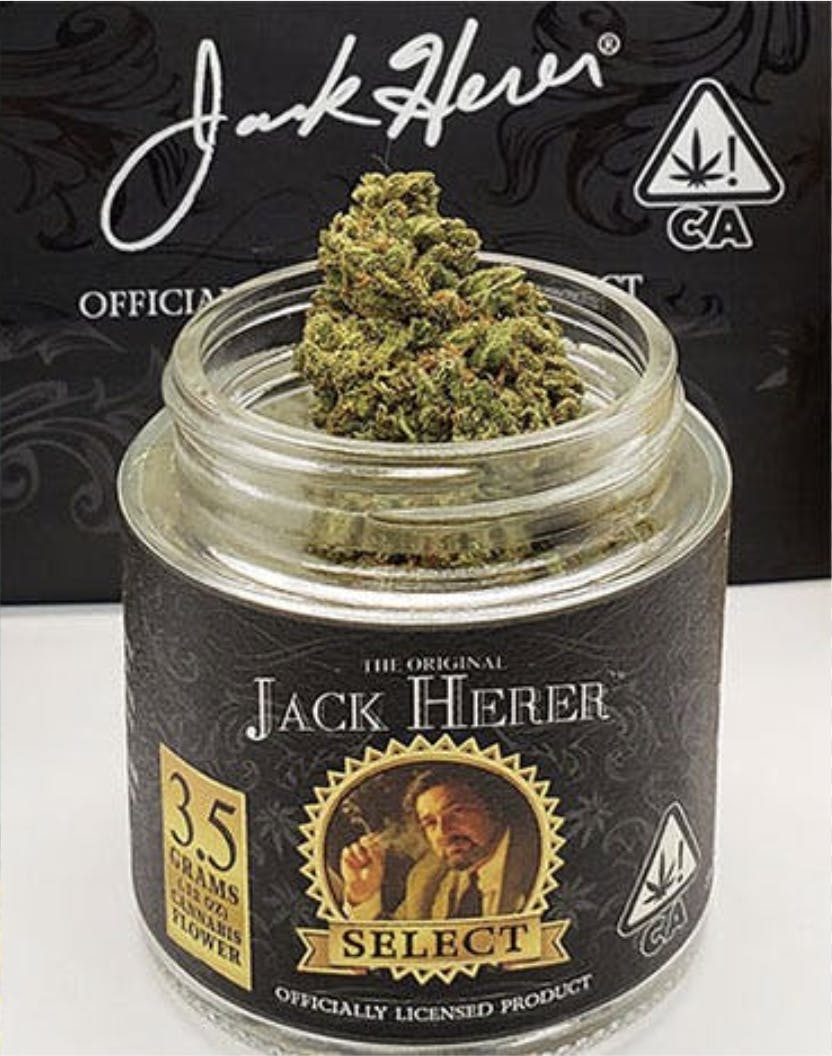 Jack Herer Master | Big Buds Jar | 3.5g