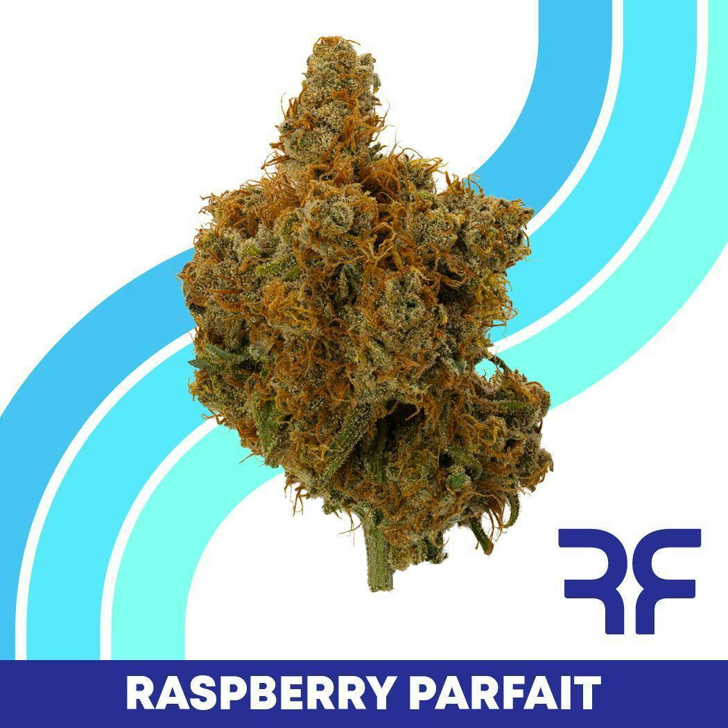 Raspberry Parfait Whole Flower