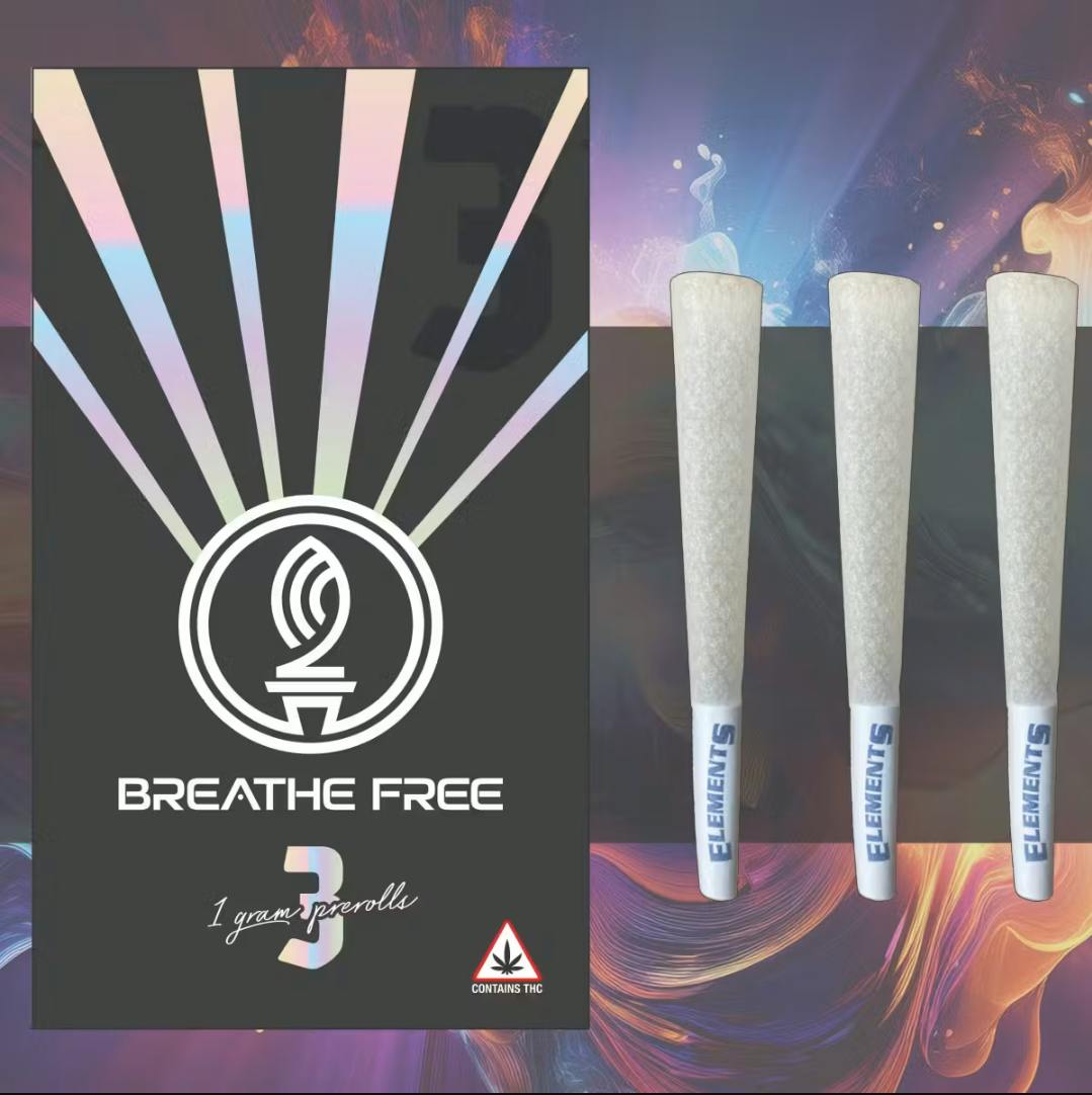 Guava Biscotti | Joints | 1g each | 3pk by Breathe Free