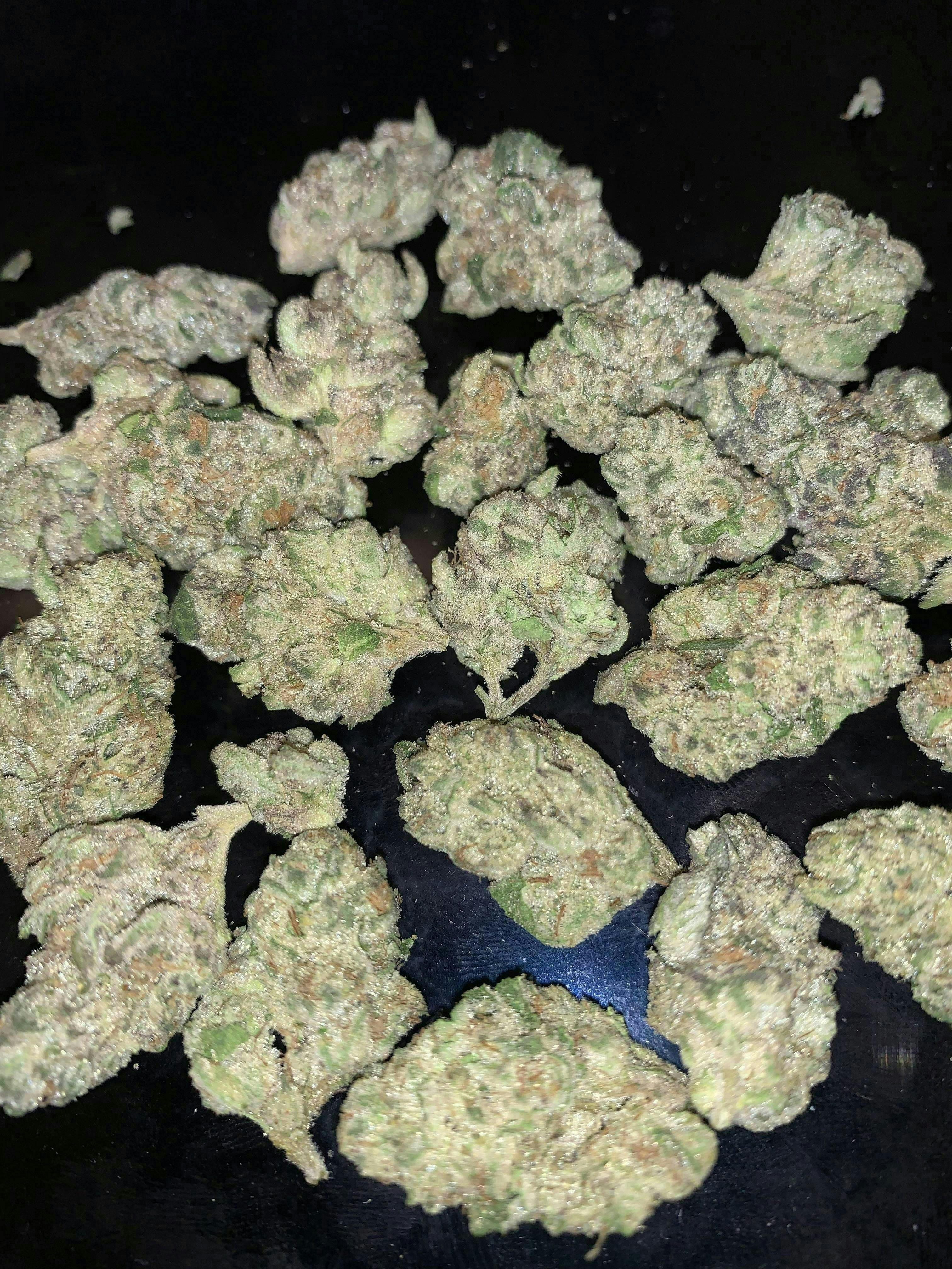 Watermelon Slushy 7g Reserve Indoor Flower Smalls by Original Intelligence