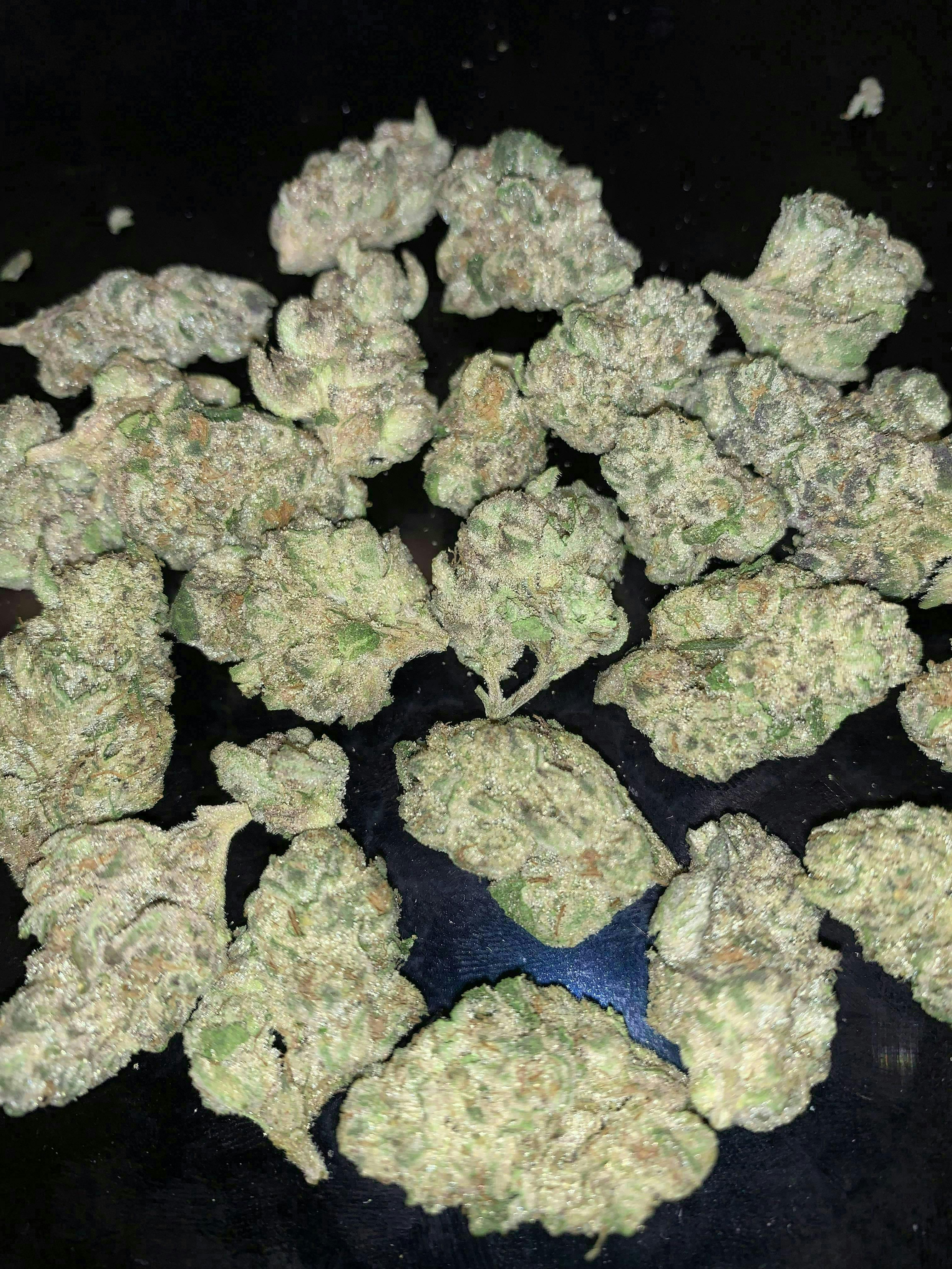 Watermelon Slushy 14g Reserve Indoor Flower Smalls