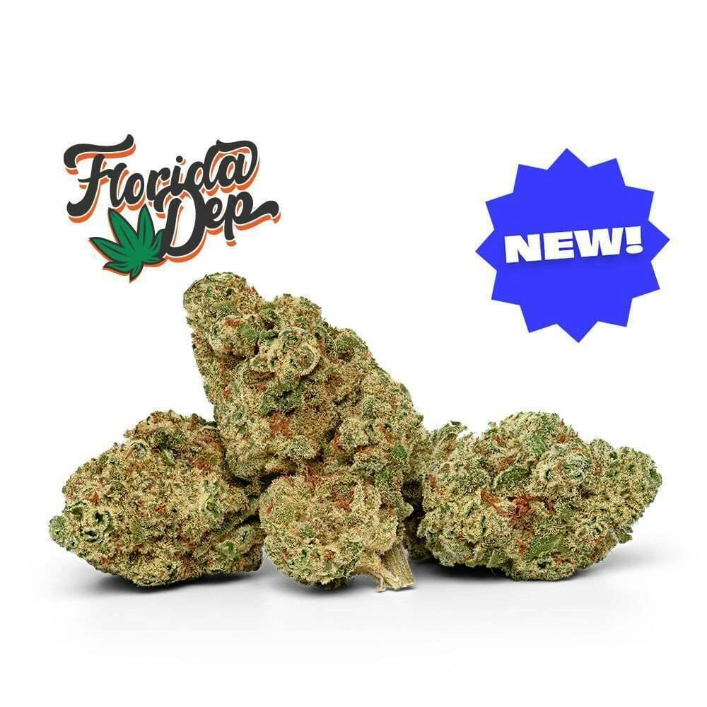 Hindu Rootbeer | Big Buds | 3.5g