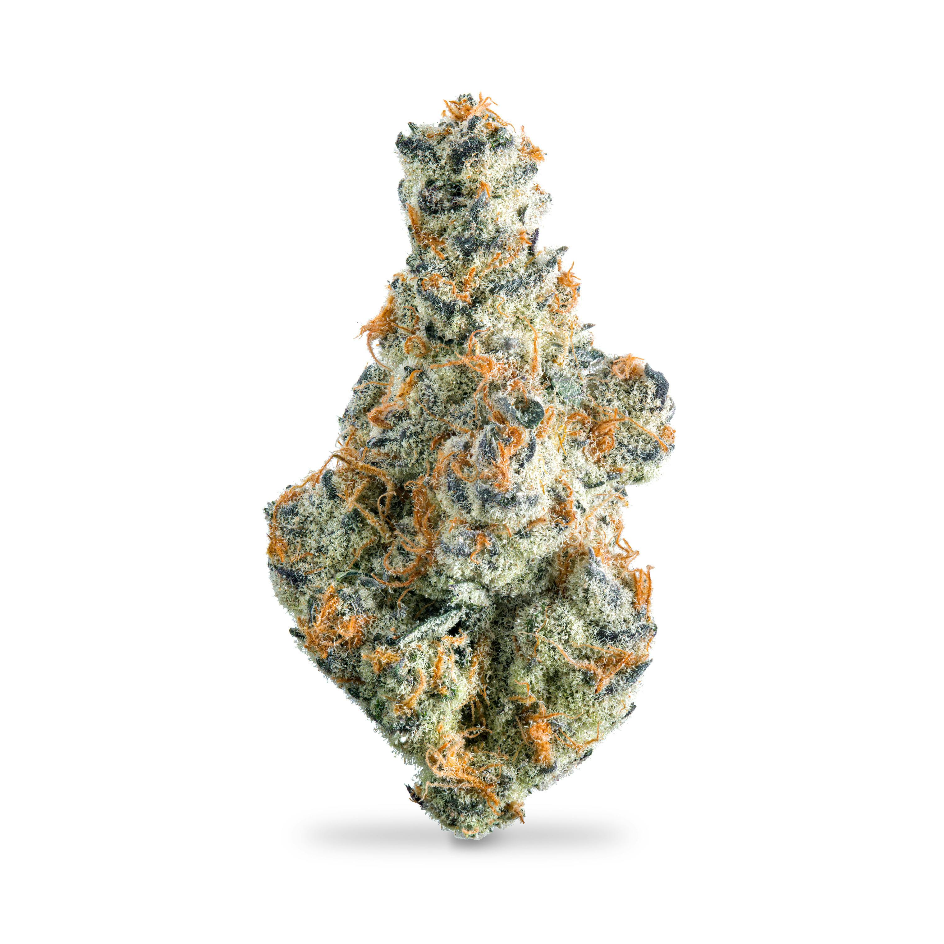 Planet Of The Grapes | 1g