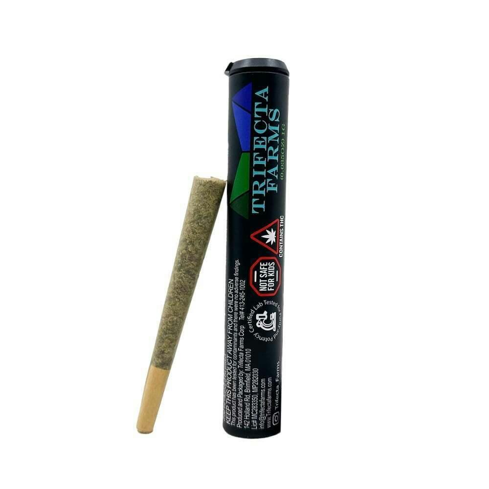 Blueberry Citrus Soufflé | Joints | 1g at Pioneer Valley Trading Company