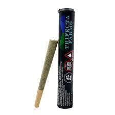 Apple Fritter | Joints | 1g