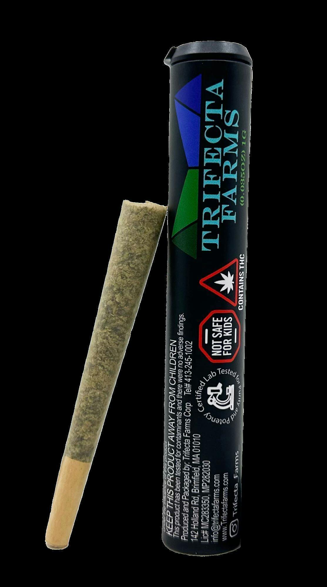Garlic Sherbert x Twisted Ice-Cream | Joints | 1g