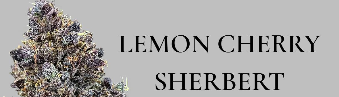Lemon Cherry Sherbert | 3.5g