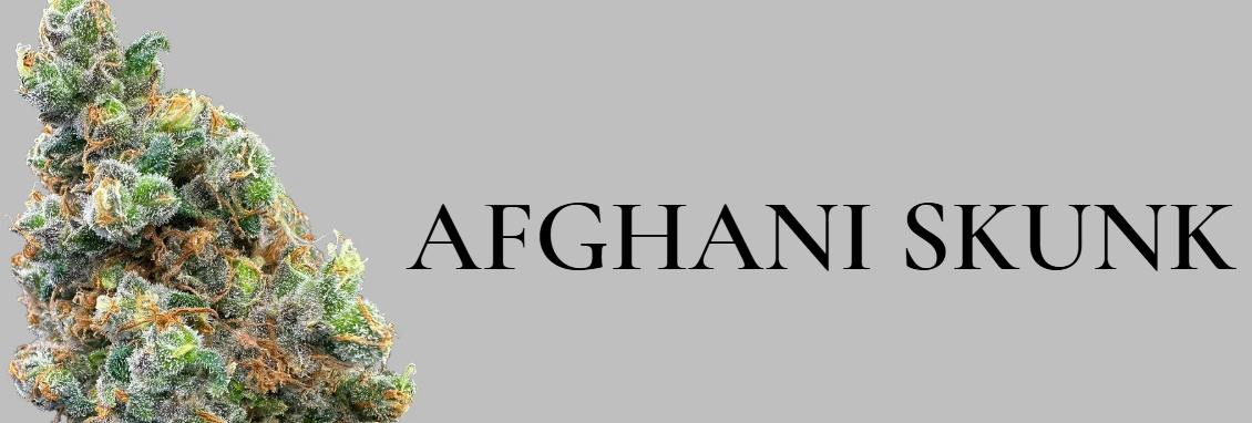 Afghani Skunk | Big Buds | 28g