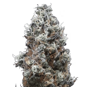 Creamsicle Cake | Big Buds | 28g