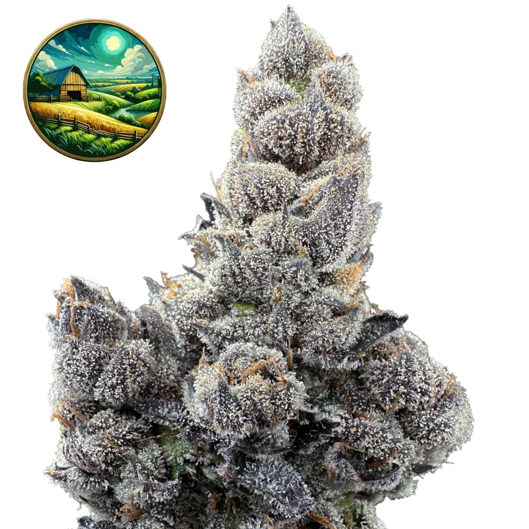 Ethanol | Big Buds | 3.5g