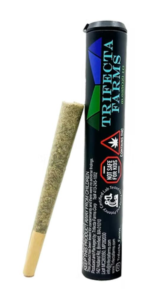 Giraffe Puzzy | Joints | 1g