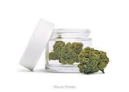 Frozen Gelato: Big Buds - 1g