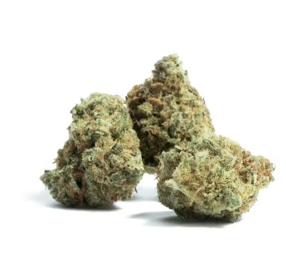 Gelato | 7g