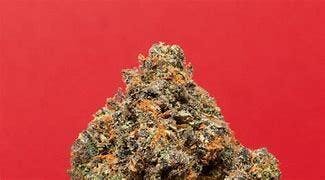 Pippen 33 | Big Buds | 1g