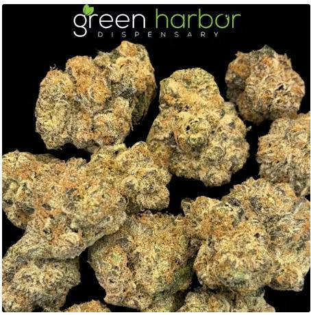 GMO & Jungle Cake | 3.5g