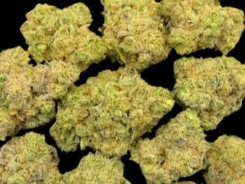 GG4 | 3.5g