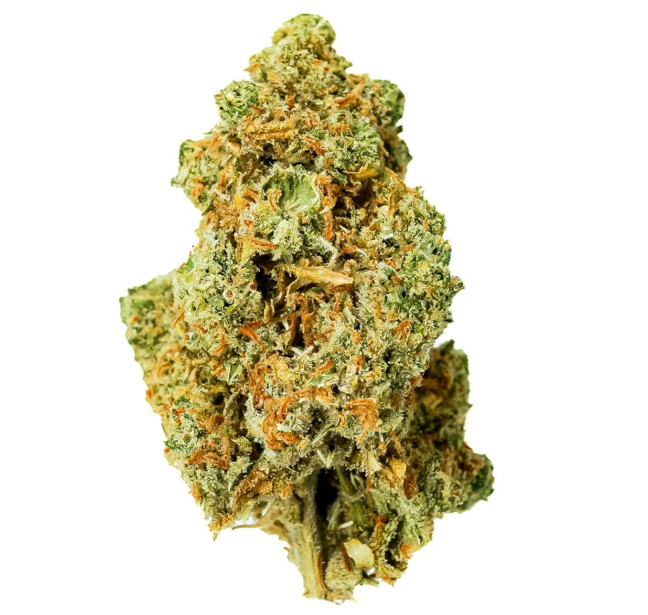 King Jack: Big Buds