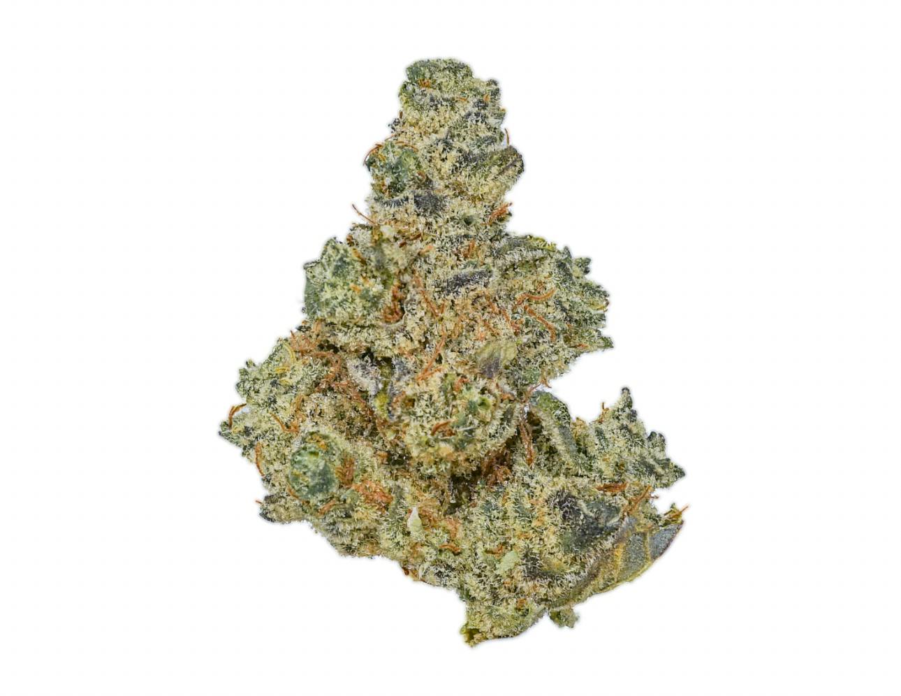 Tropicooler | Big Buds | 1g