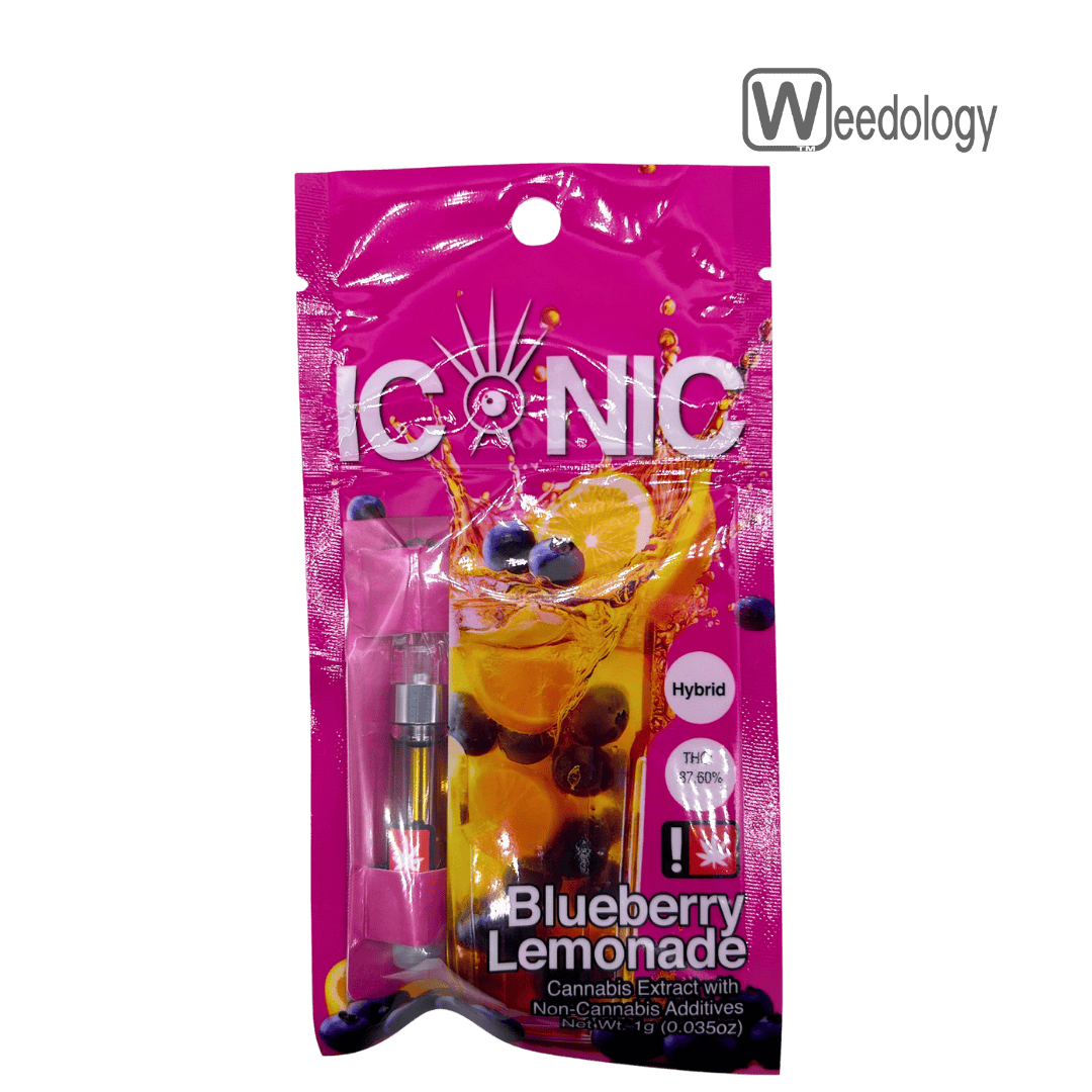 Blueberry Lemonade: 1g
