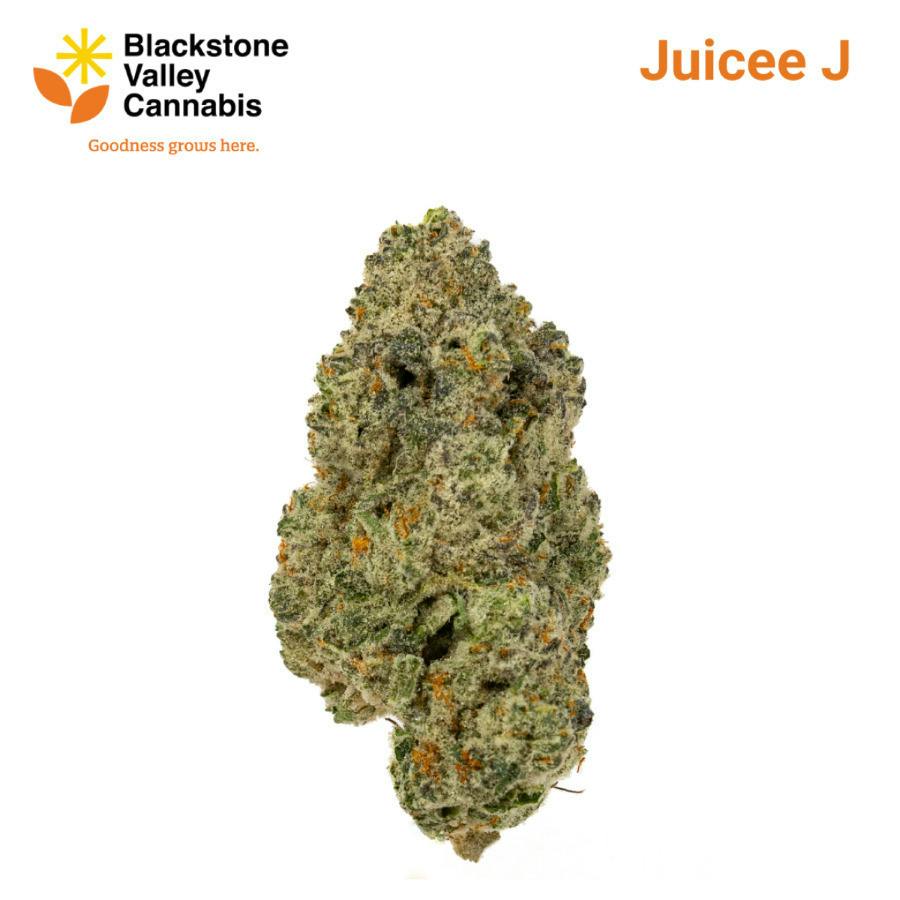 Juicee J | Big Buds | 3.5g