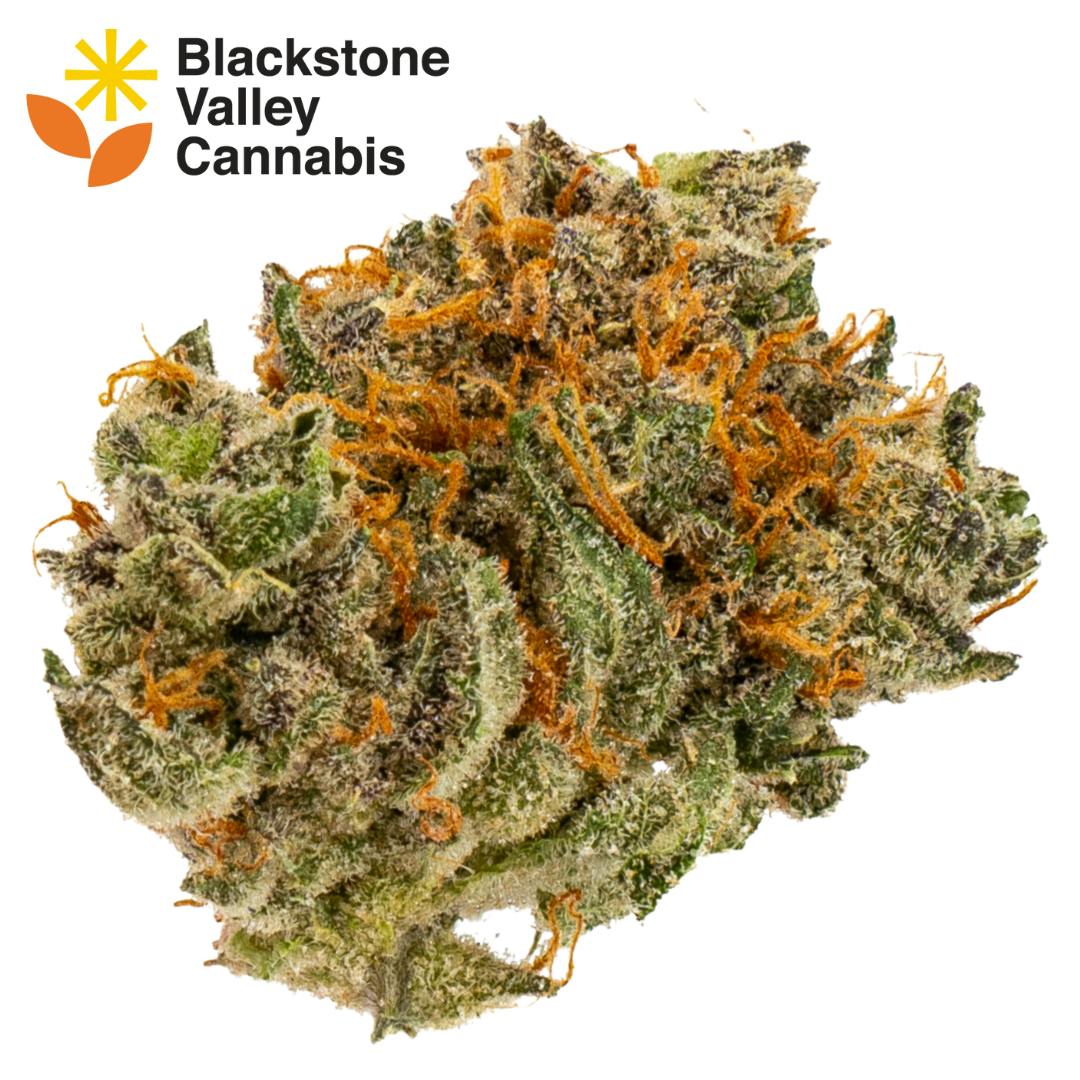Amnesia Haze | Big Buds | 3.5g