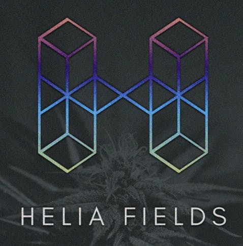 Helia Fields 1pc - Salted Chocolate Brownie 100mg: Baked Goods