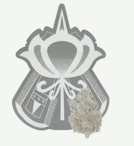 Pancake Runtz Big Buds