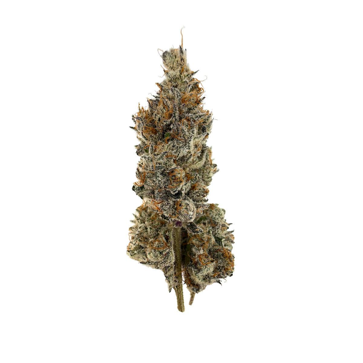Mexican Gelato | 3.5g