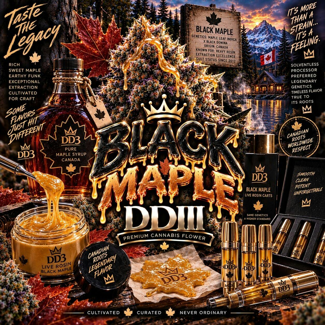 Black Maple | Big Buds | 1g