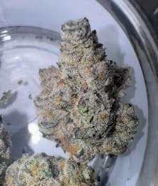 Giggle Gas | Smalls | 14g by Rythm