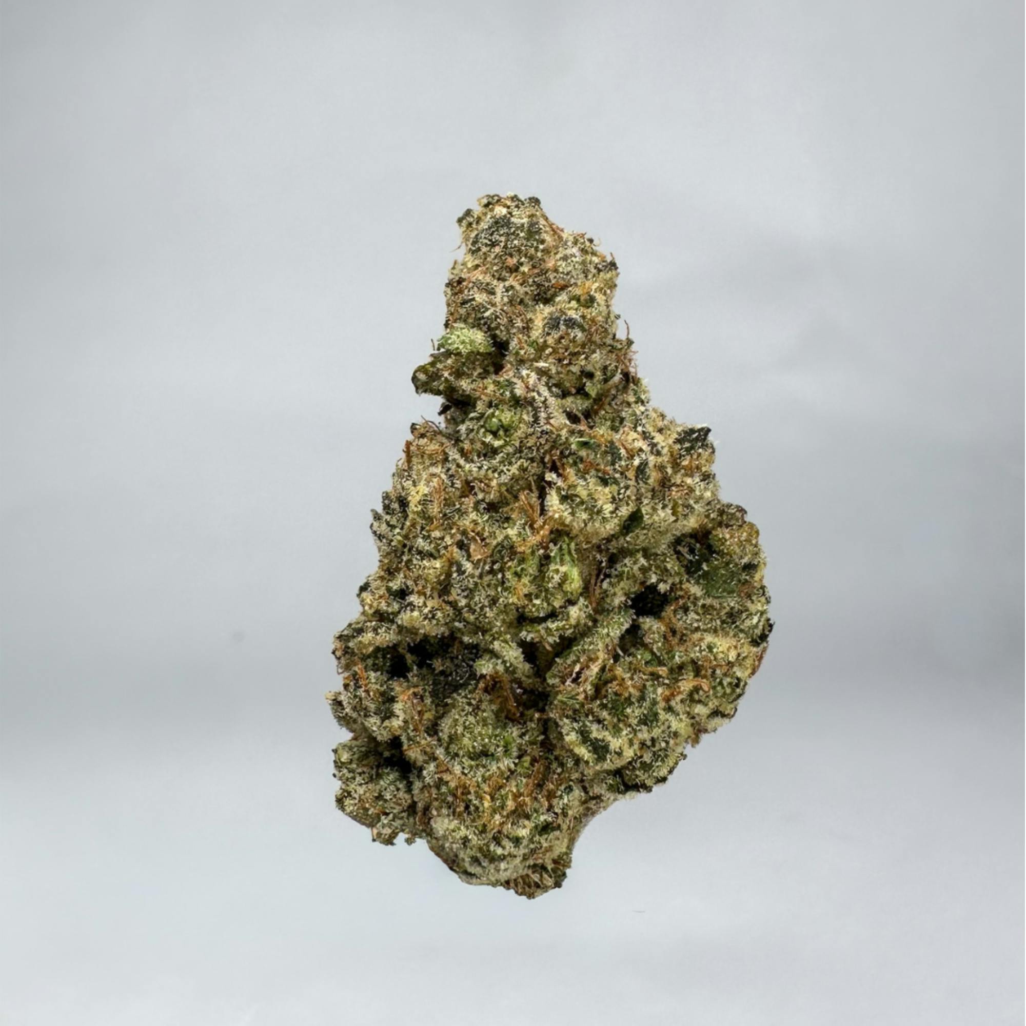 Doctor Reefer I Menudo OG I 3.5G I Indoor Flower