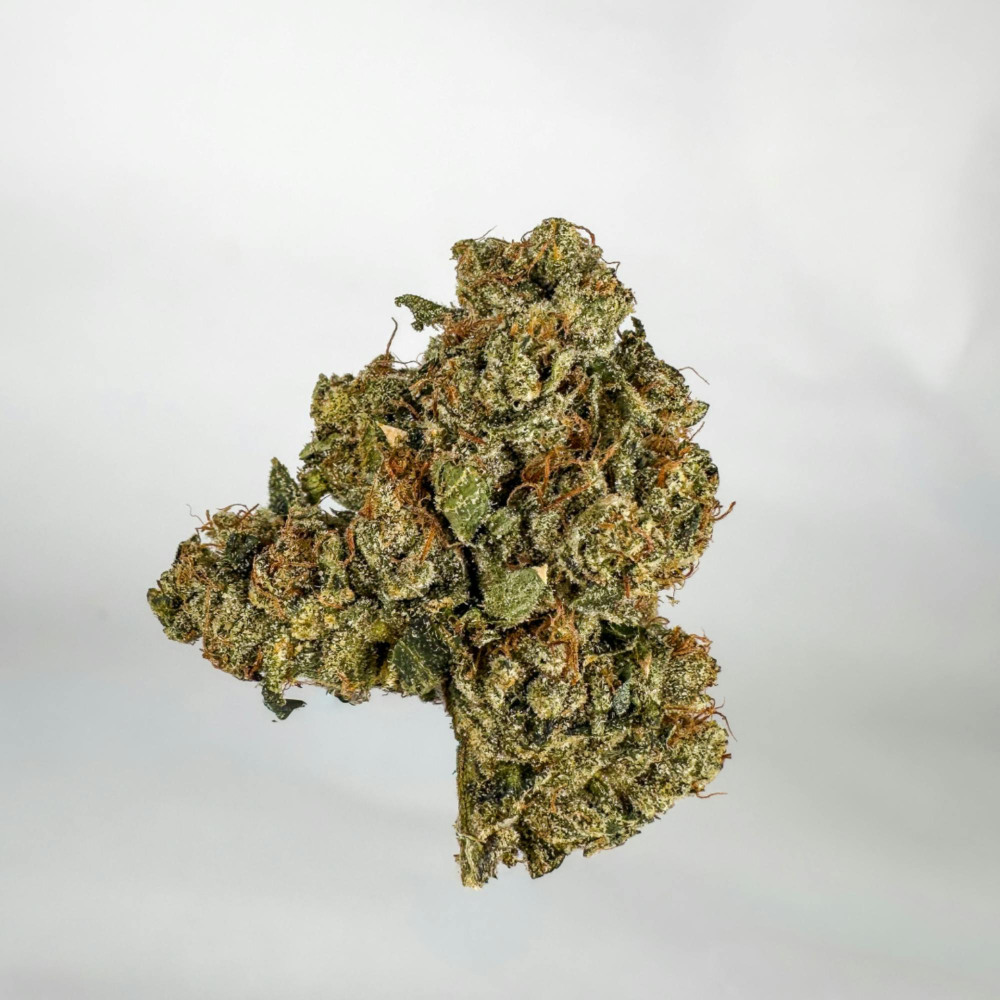 Doctor Reefer I M1 OHH GEE I 3.5G I Indoor Flower