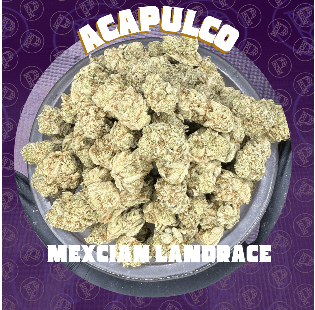 Acapulco Gold: 1g