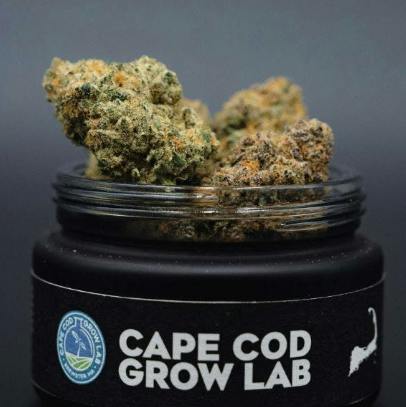 Purple Push Pop | Big Buds | 3.5g