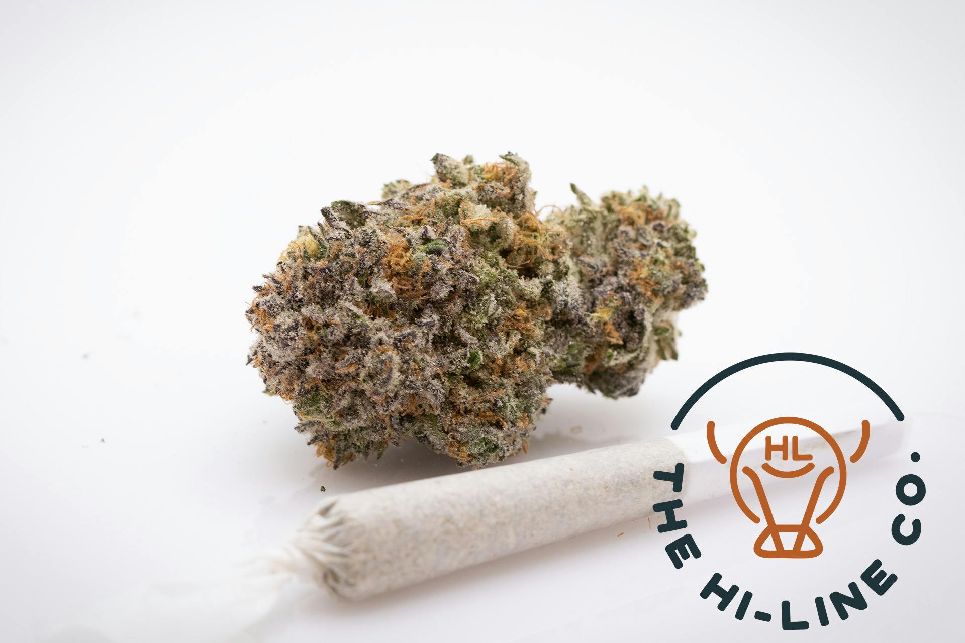 Blueberry Muffin | Joints | 0.5g at The Hi-Line Co. Dispensary - Rollins