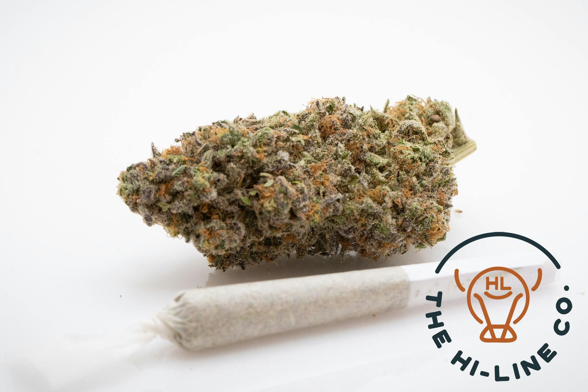 Gelato | Joints | 0.5g at The Hi-Line Company Kalispell