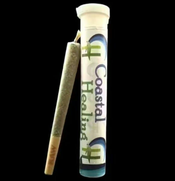 Chow Mein | Joints | 1g at Elevated Roots Dispensary Halifax