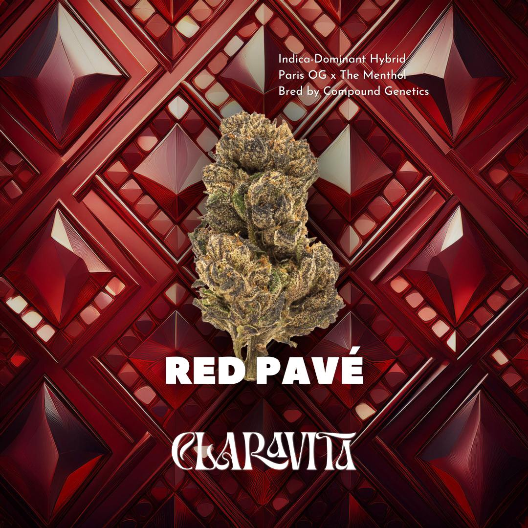 Red Pavé | 3.5g